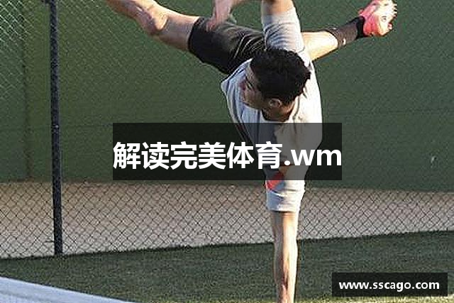 解读完美体育.wm